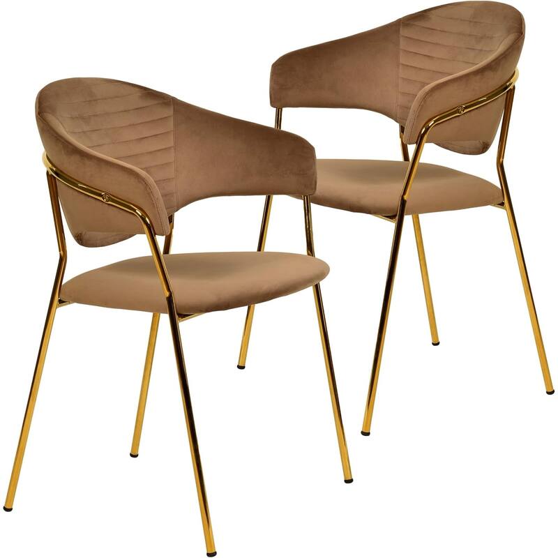 Set of 2 Bella Modern Leather or Velvet Upholstered Dining Chair with Gold Stainless Steel Legs for Home Office Kitchen