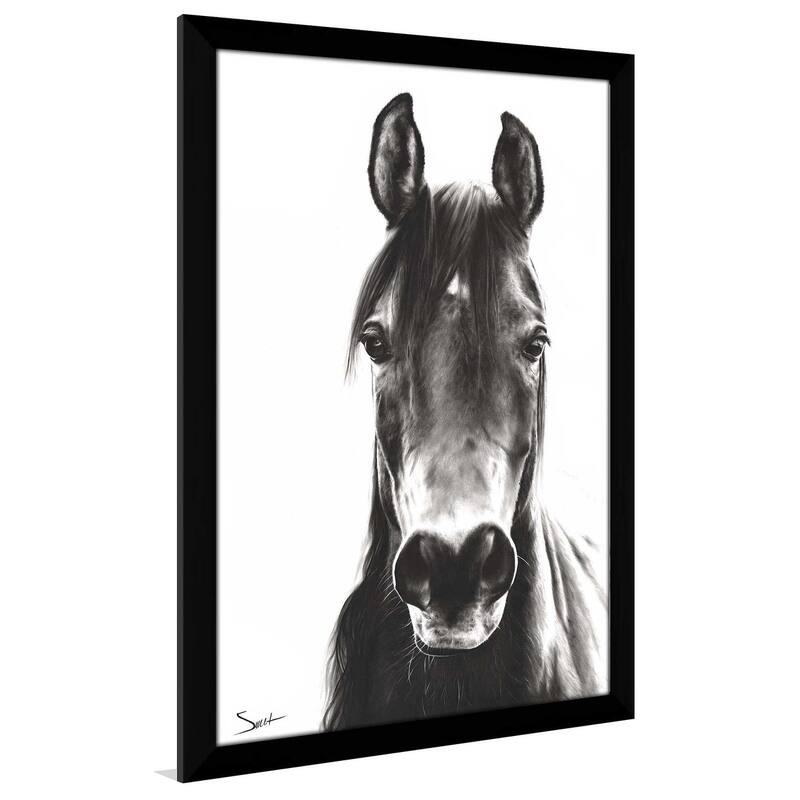 "Horse Portrait" by Eric Sweet Print on Acrylic