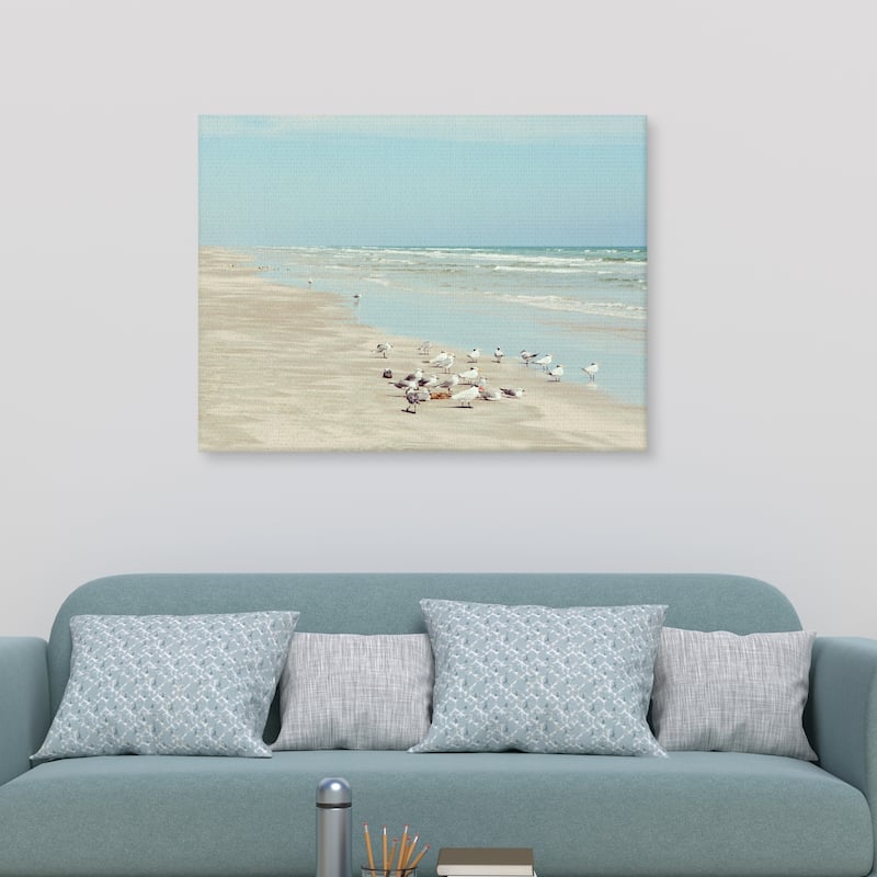 Padre Island Shore Birds by Danita Delimont Canvas Art Print