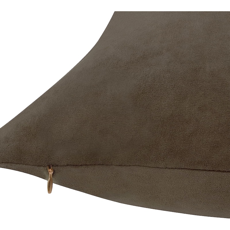 Delara Pack of 1 Velvet Decorative Throw Pillow Cover 20x20 Inches, Cushion Cover, Soft and Breathable Fabric, Hidden Zipper