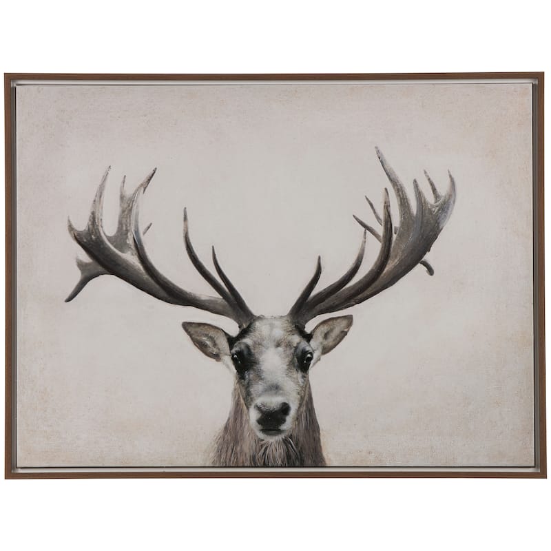 Canvas Deer Gazing Framed Wall Art with Wood Frame - Brown - Roche River Decor