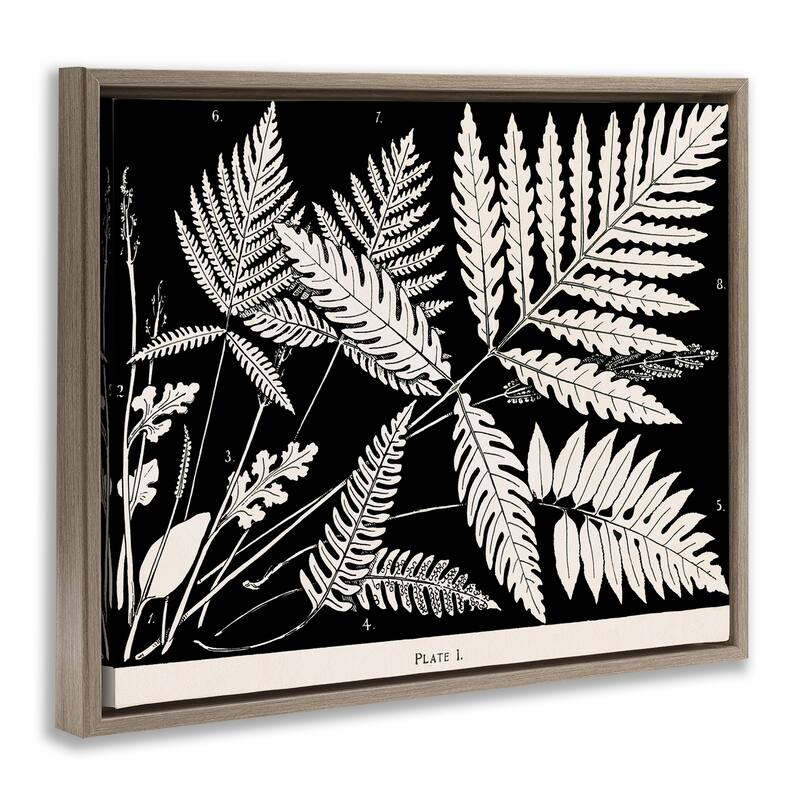 Stupell Overlapping Ferns on Black Framed Floater Canvas Wall Art Design By Phillipa Katz