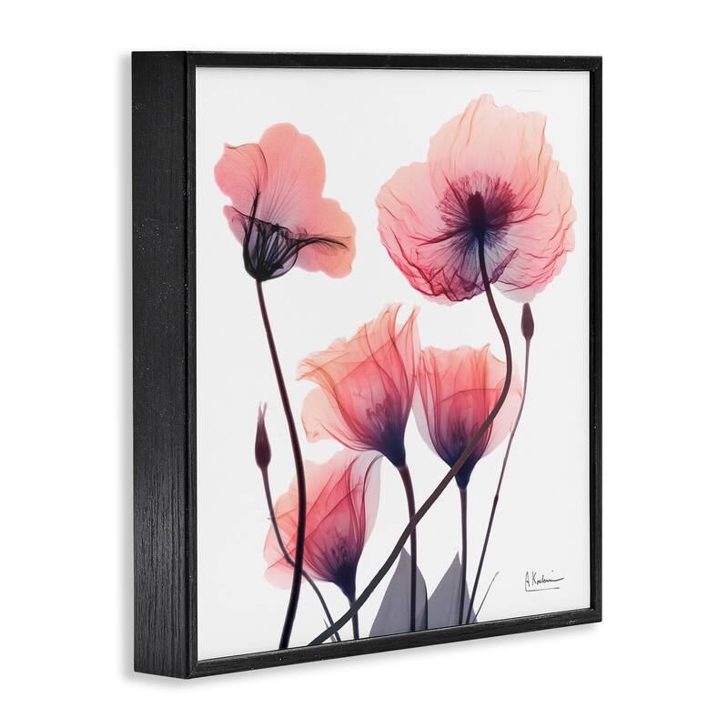 Stupell Elegant Modern Poppy Buds Framed Giclee Art Design By Albert Koetsier