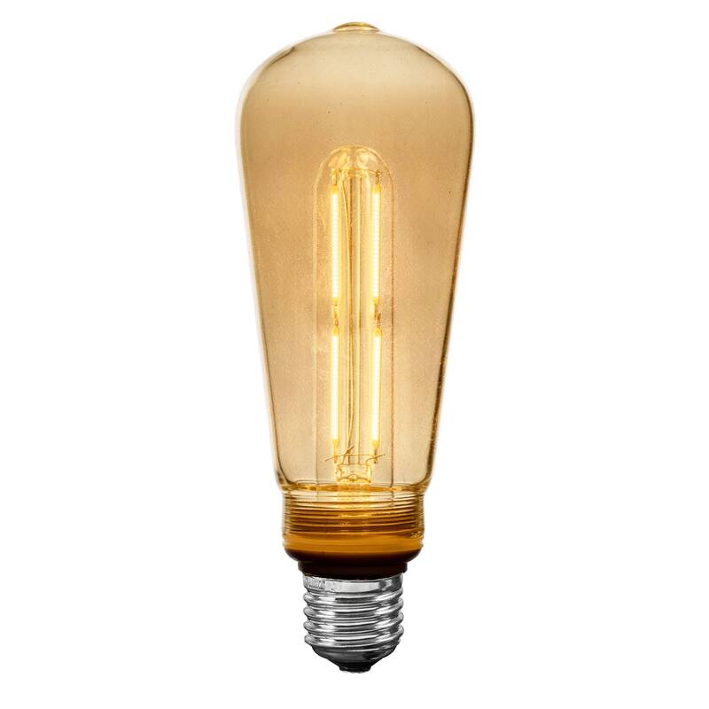 Festive Living LED ST19 + T25 Bulb Indoor/Outdoor Covered Edison Bulbs, E26 Base - Large - String Lights - Clear