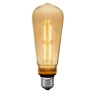 Festive Living LED ST19 + T25 Bulb Indoor/Outdoor Covered Edison Bulbs, E26 Base - Large