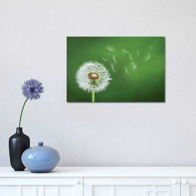 iCanvas "Dandelion Blowing II" by Bess Hamiti Canvas Print - 12x18x1.5