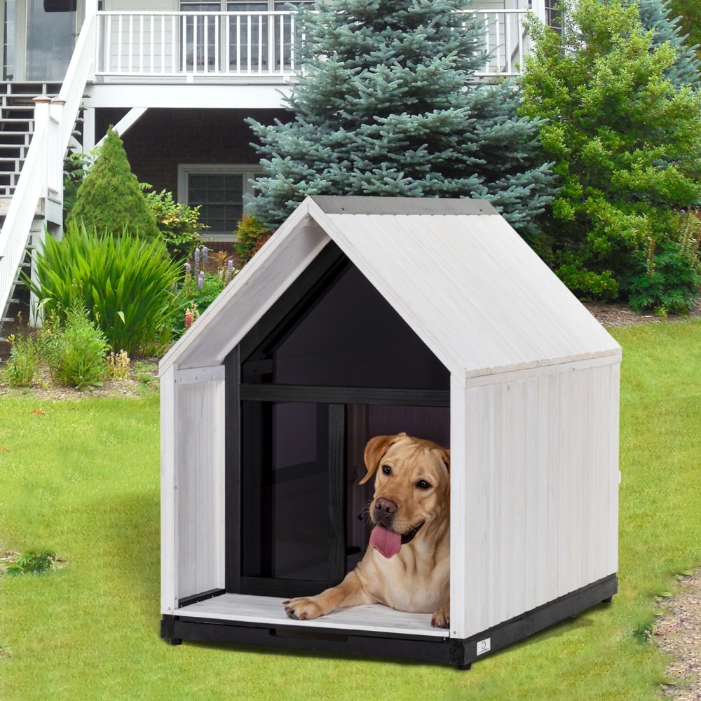 Dog slide in house discount