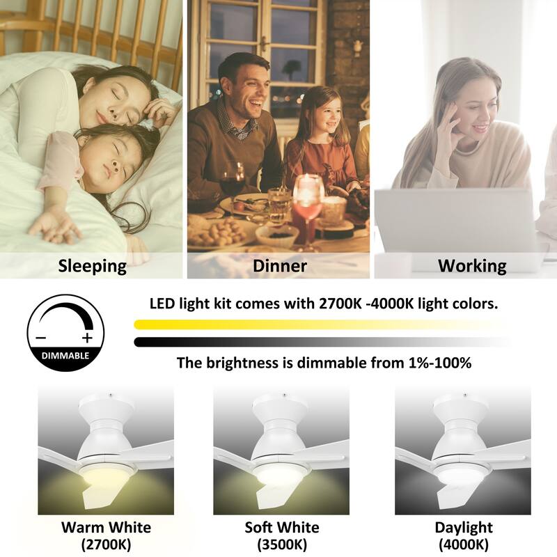 CARRO Jaiden 48" 3-Blade Smart Ceiling Fan with LED Light and Remote-Flush Mount