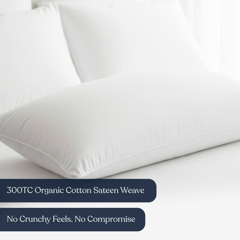 Delara Throw Pillow Inserts Organic Cotton, Down Alternative Fill, Set of 2