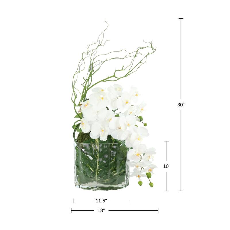 Orchid Arrangement with Philodendron in Vase - 30