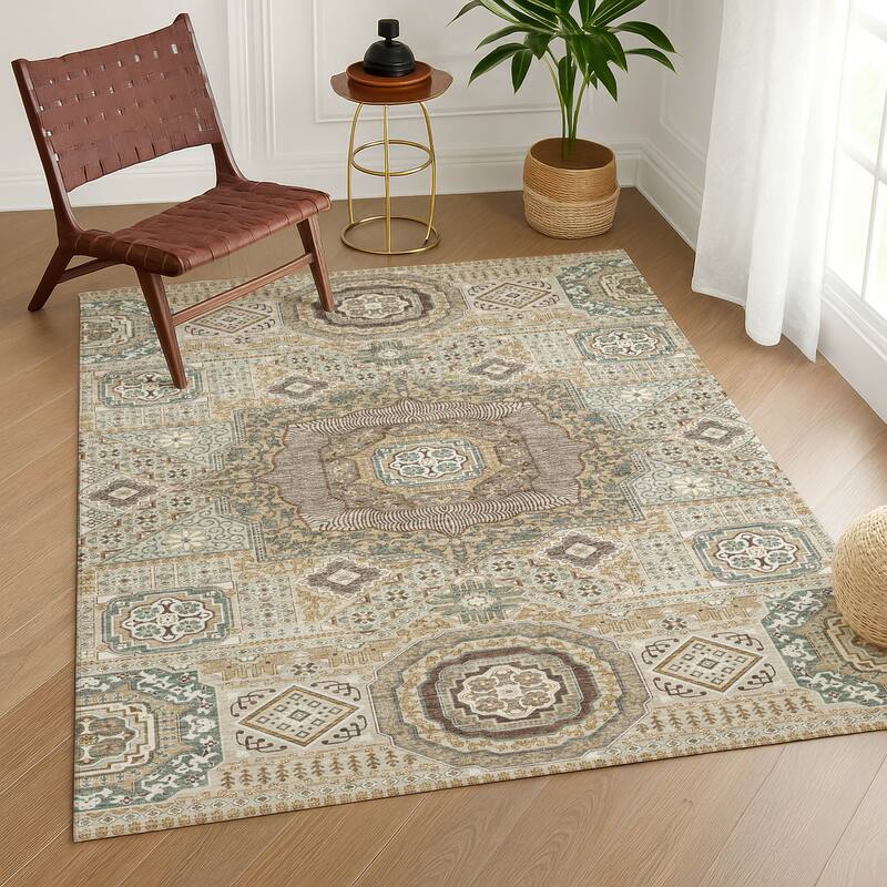 Machine Washable Indoor/ Outdoor Traditonal Isaiah Chantille Rug