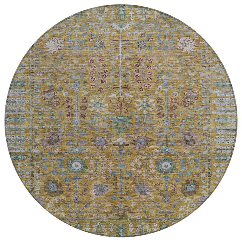 Machine Washable Indoor/ Outdoor Traditional Classic Chantille Rug