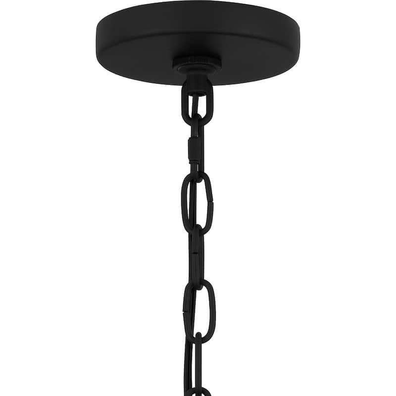Luther 1-Light Earth Black Outdoor Hanging Lantern