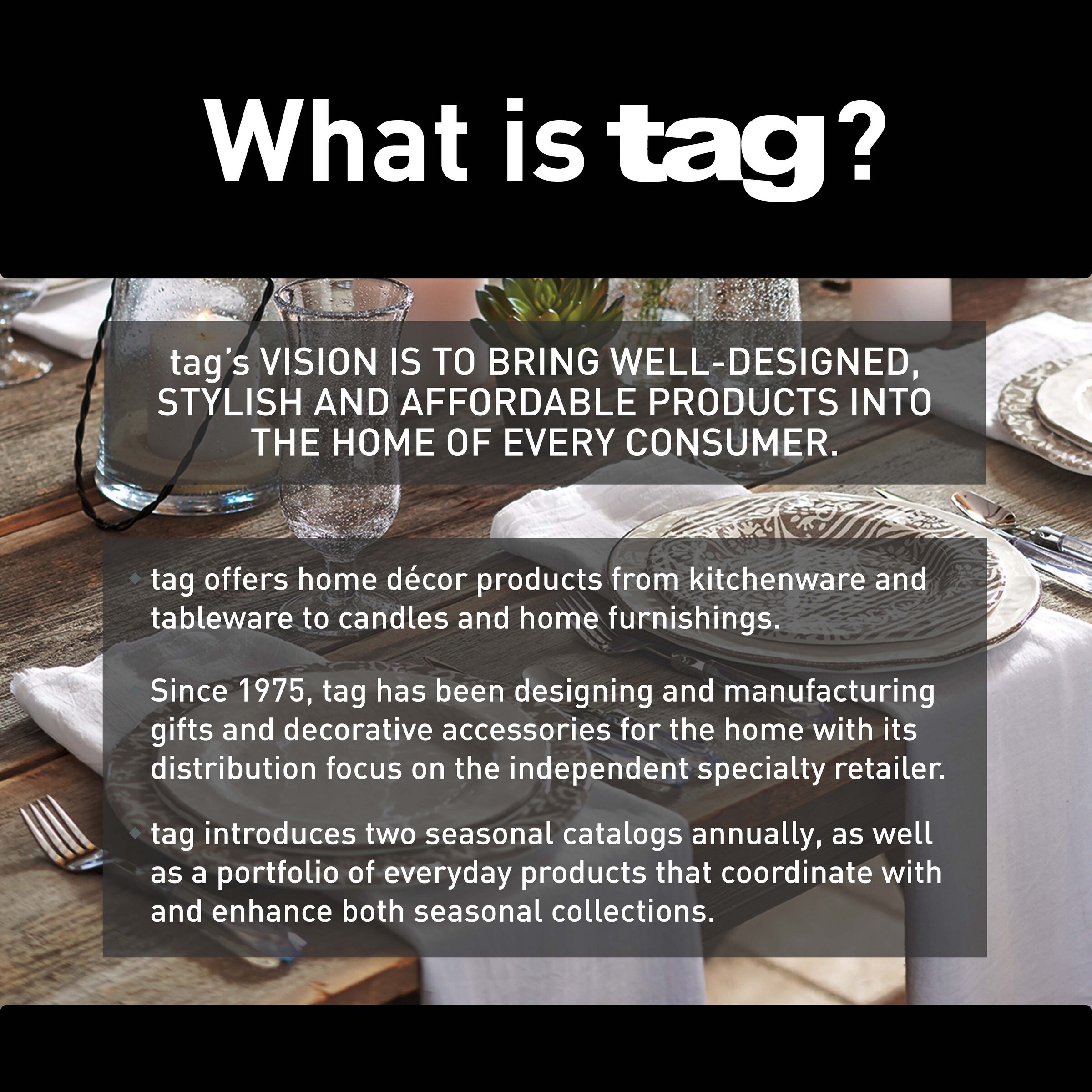 Tag Classic Terry Dishtowel Set of 2 Gray - Grey