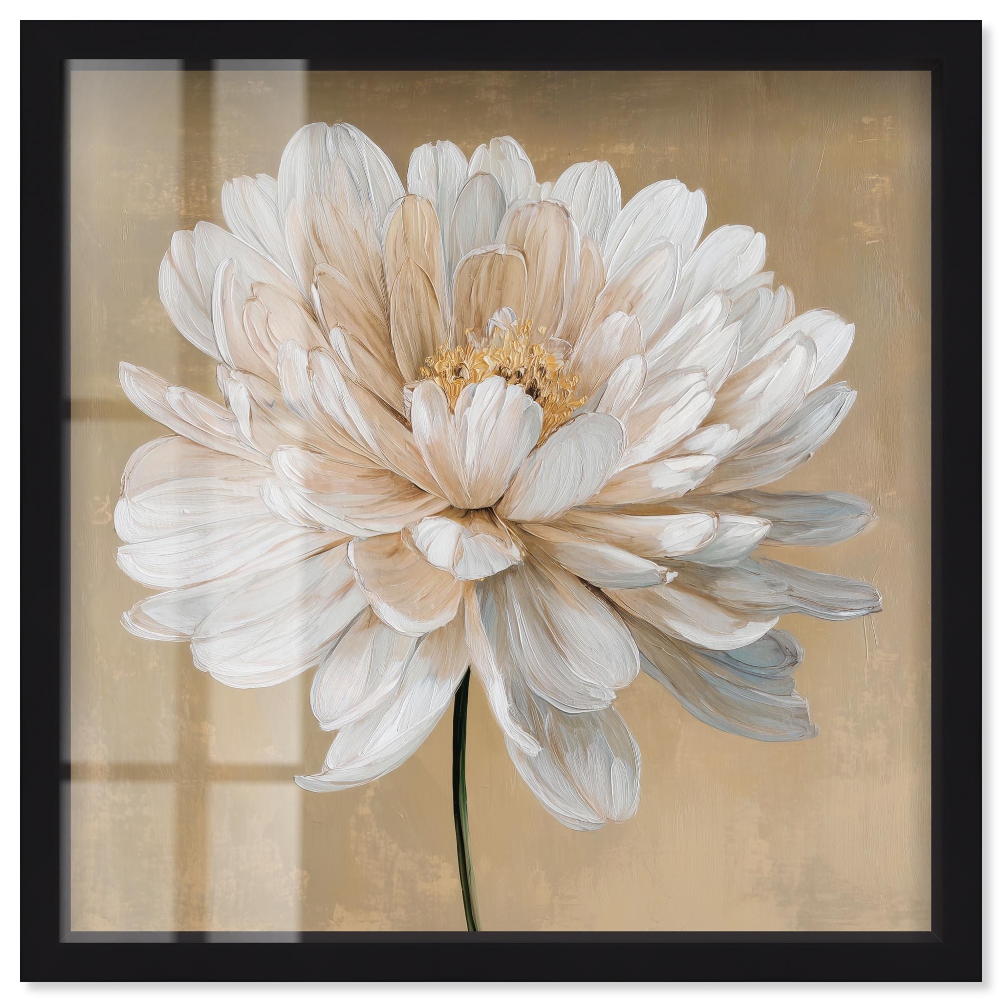 White Radiance I Floral Wall Art Shadowbox Print by Art Remedy