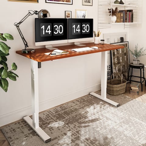 FlexiSpot 55"x28" Ergonomic Home Office Height Adjustable Standing Desk 2-Button Electric Stand Up Desk Varaint Color