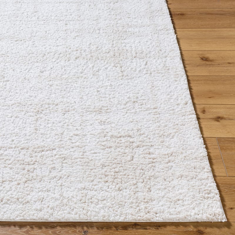 Livabliss Modern & Contemporary Sacramento Shag Ombre Area Rug
