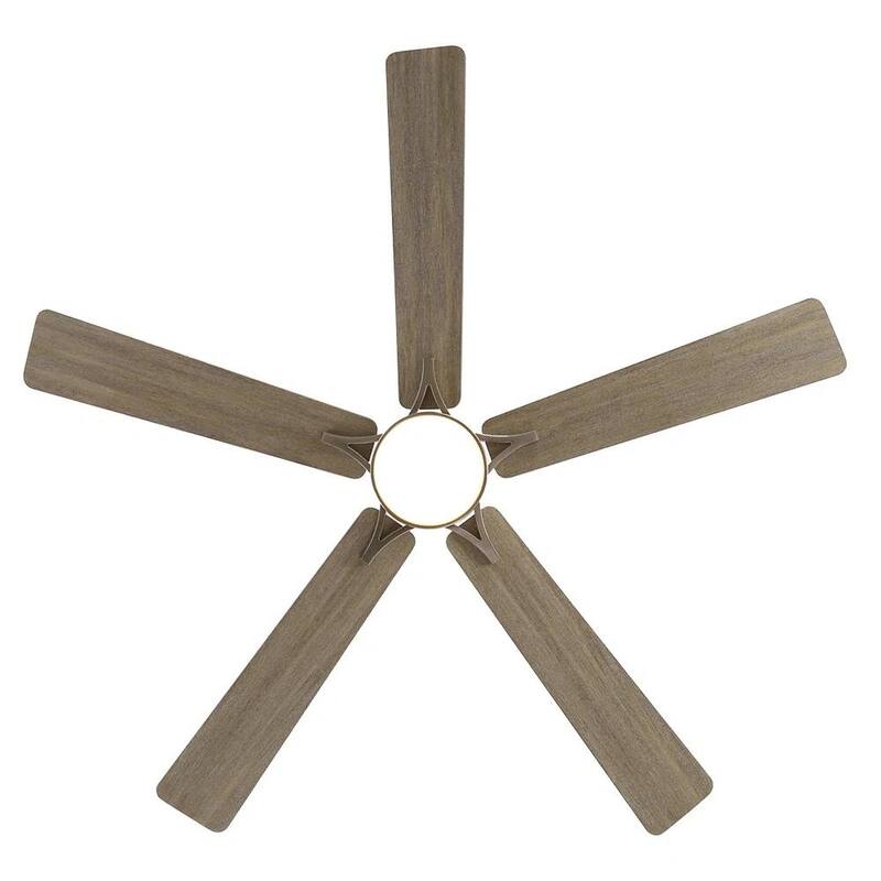 MLiAN 5-Blades DC Motor Indoor Smart Ceiling Fan with Light and Remote