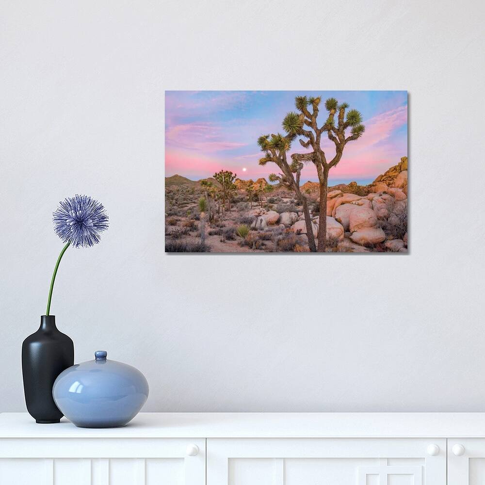 iCanvas "Joshua Tree In desert, Joshua Tree National Park, California" by Tim Fitzharris Canvas Print