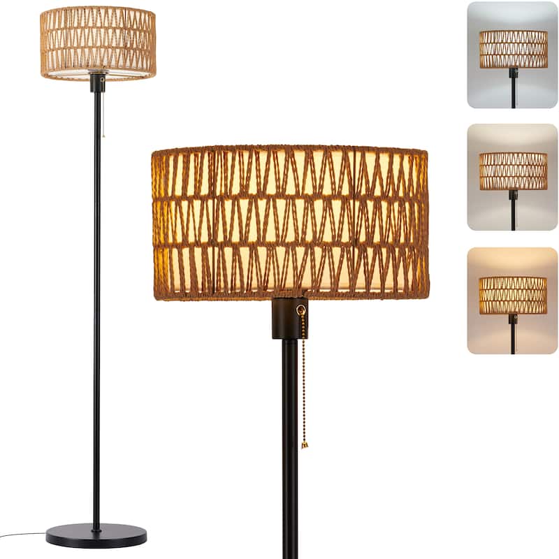 Netin 57" Coastal Bohemian Rattan Iron LED Floor Lamp with Pull-Chain, Adjustable 3 Color Temperatures