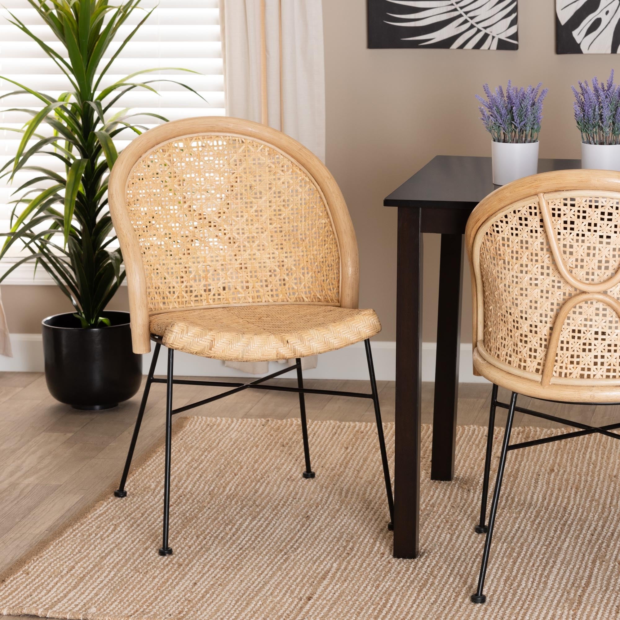 Cane and store metal dining chairs