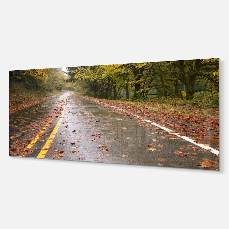 Wet Rainy Road in Forest - Landscape Photo Glossy Metal Wall Art - Bed ...