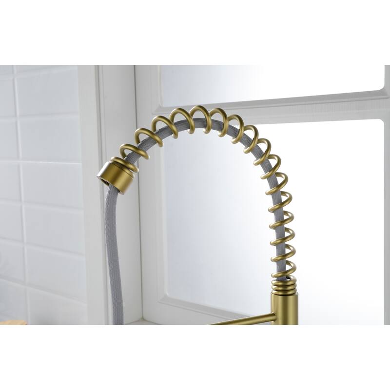 Kitchen Faucet with Pull Out Spraye