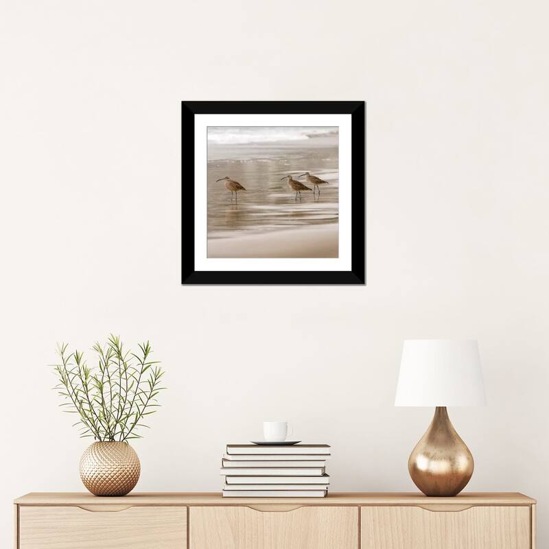 iCanvas "Shore Birds I" by Danita Delimont