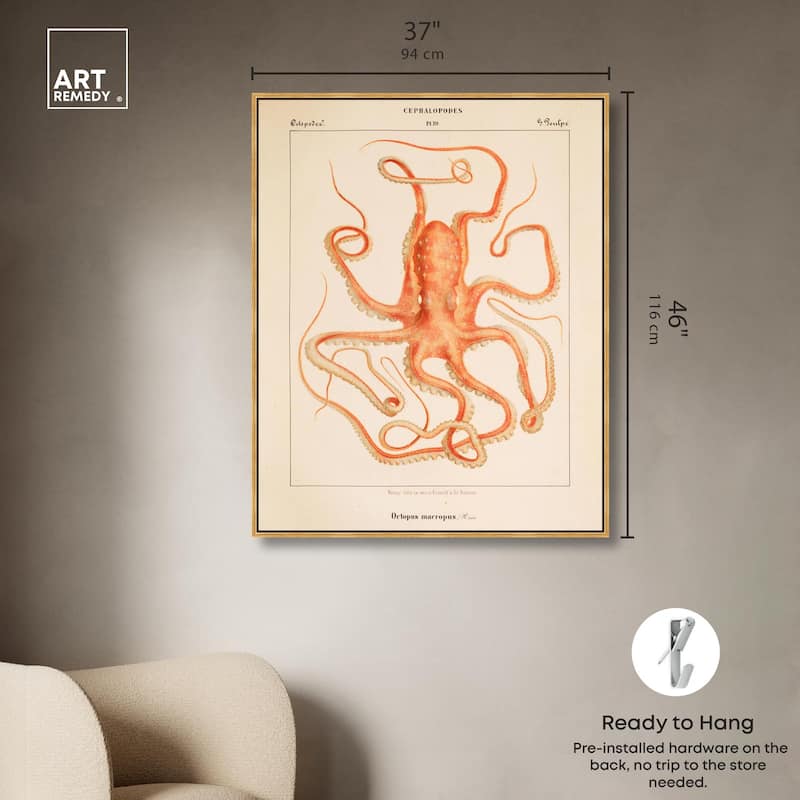 Verany The Octopus 1815 I Canvas by Art Remedy