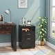 preview thumbnail 2 of 19, 2 Drawer Mobile File Cabinet with Lock, Filing Cabinet Printer Stand for Letter Size