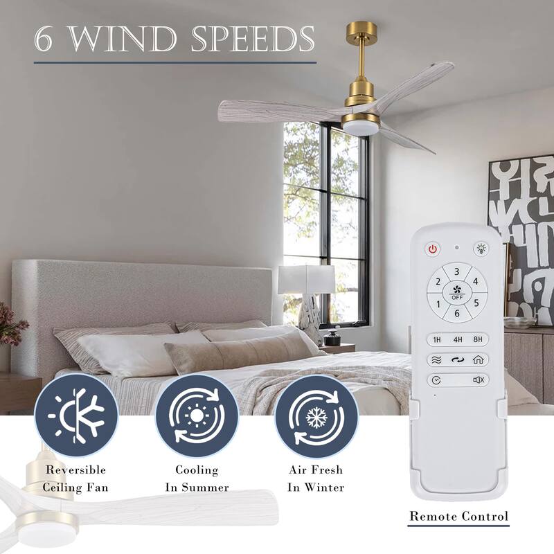 Morden LED Ceiling Fan with Light and Remote