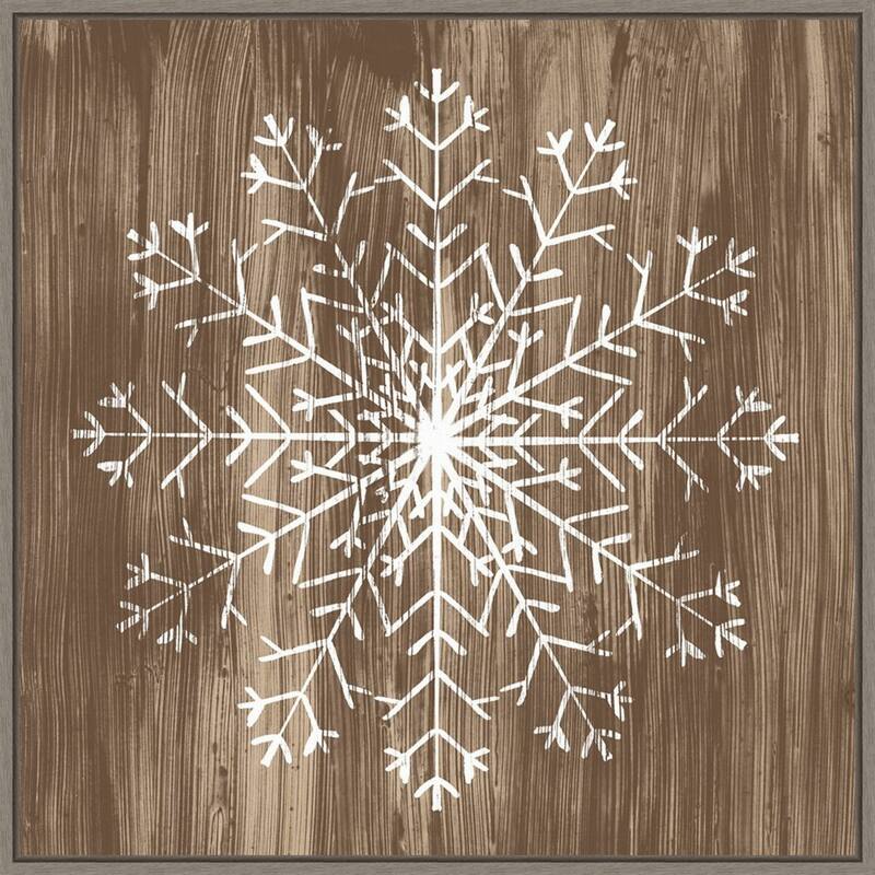 Barnwood Wonderland III Snowflake by June Erica Vess Framed Canvas Wall Art