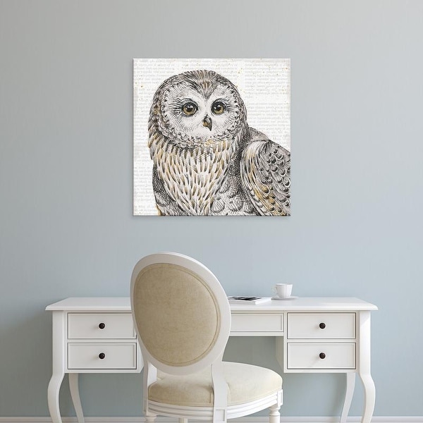 Easy Art Prints Daphne Brissonnet's 'Beautiful Owls II' Premium Canvas Art