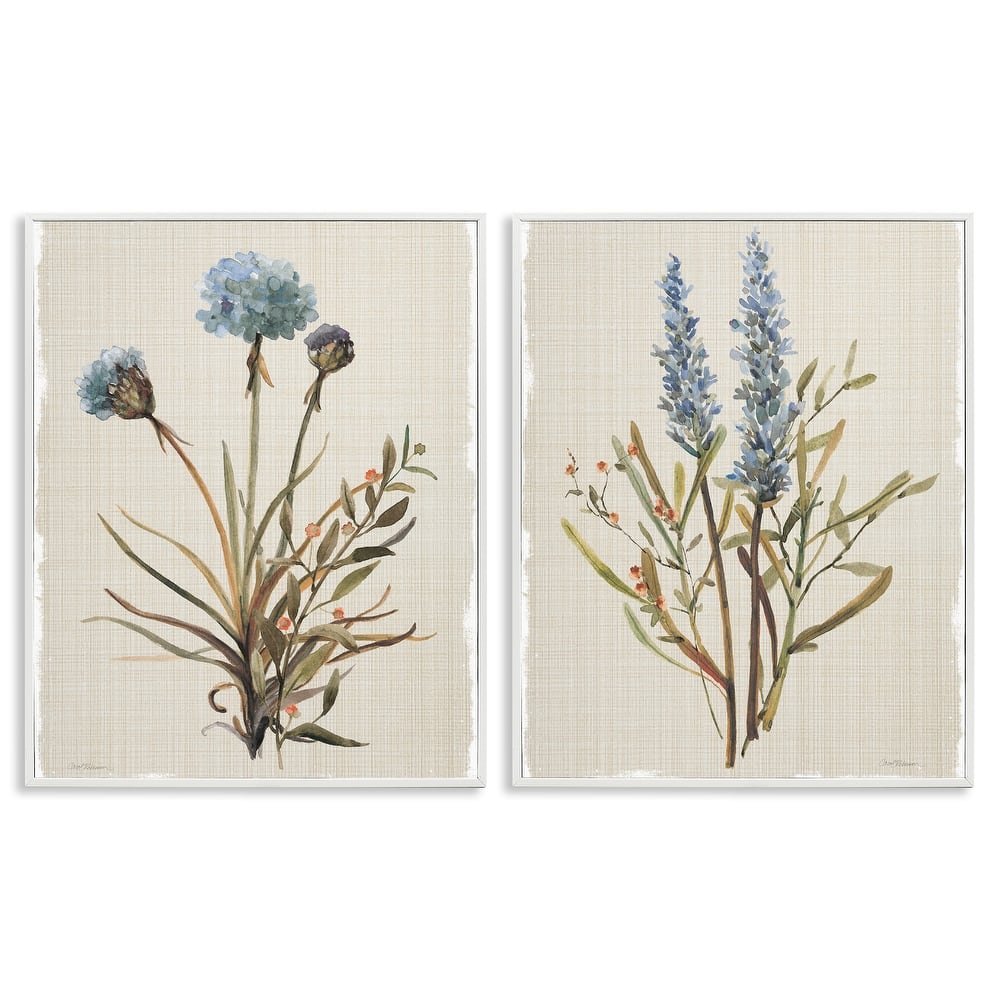Stupell Natural Budding Blooms Framed Giclee Art Design By Carol Robinson (Set of 2)