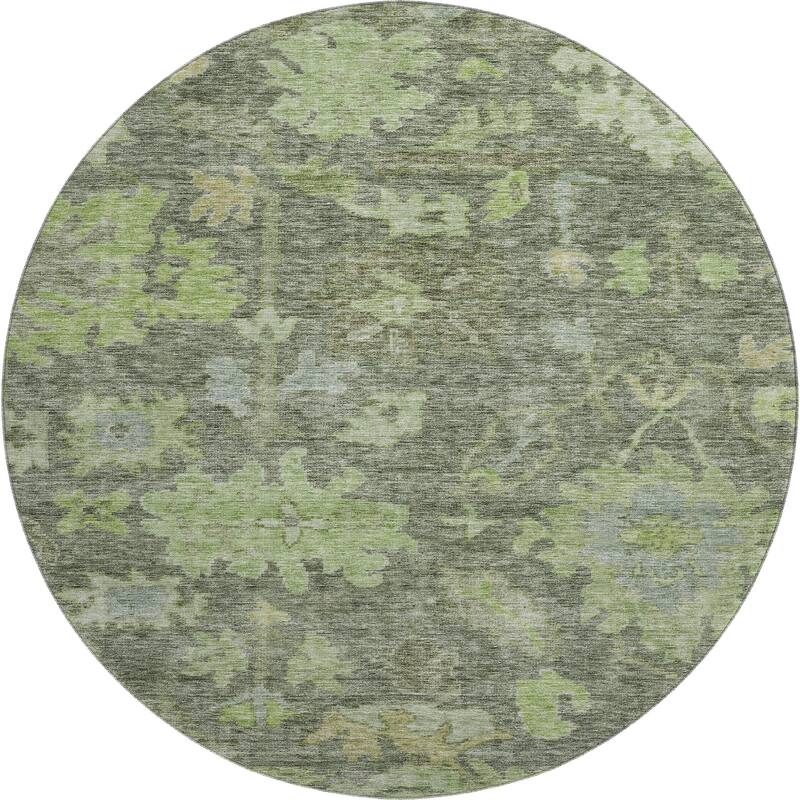 Premium Washable Super Soft Vintage Traditional Mayfield Rug