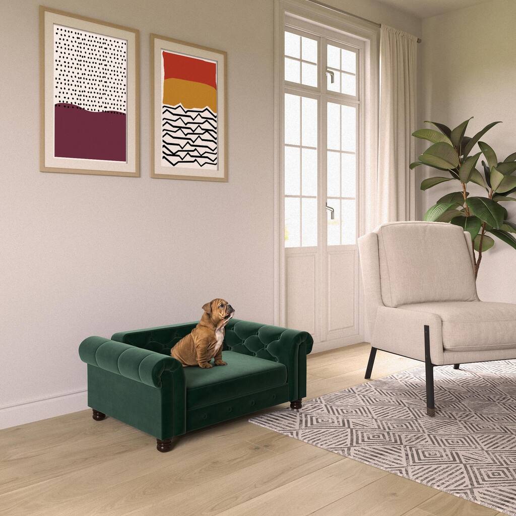 Ollie & Hutch Felix Pet Sofa Pet Bed