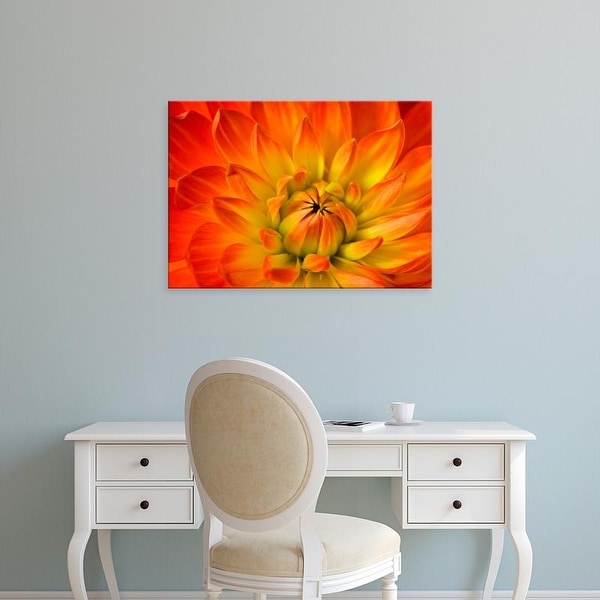 Easy Art Prints Darrell Gulin's 'Dahlia Flower With The Petals Radiating Outward Iii' Premium Canvas Art