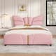 Option Pink