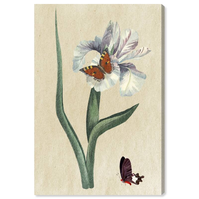 Wynwood Studio Canvas Floral and Botanical Floral Butterflies White and Traditional Wall Art Canvas Print