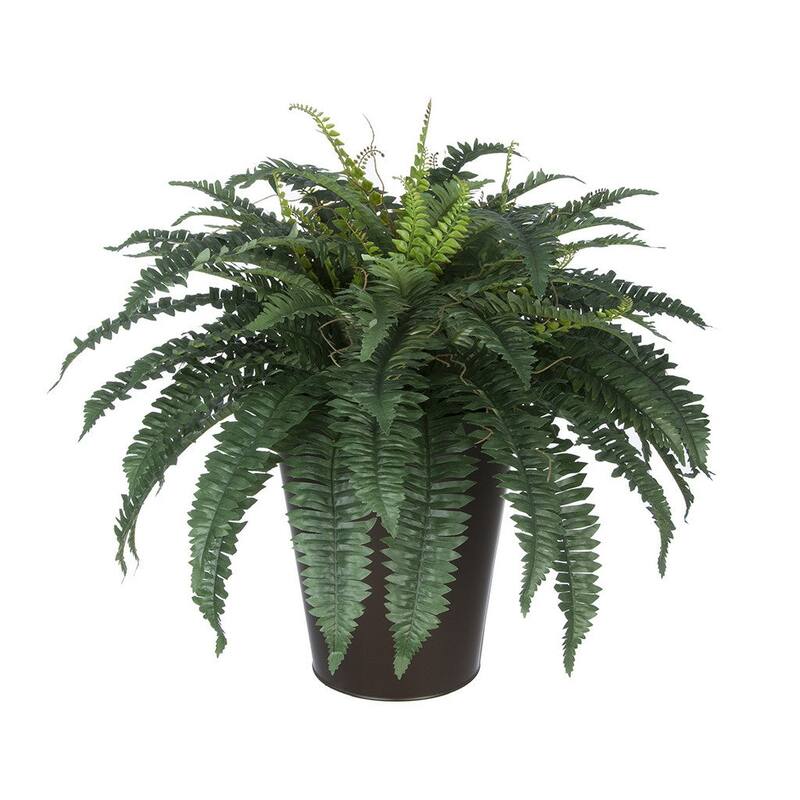 Faux Fern in Round Zinc Planter - Matte Brown