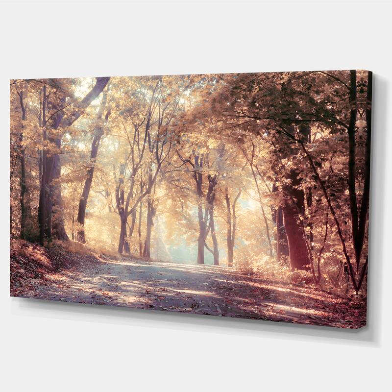 Designart "Golden Autumn Beautiful Forest" Landscape Artwork Canvas Print