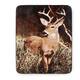 Option Deer Country