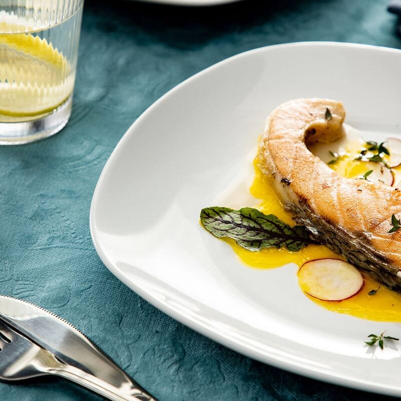 MALACASA Elisa Porcelain 6-Piece Dinner Plates