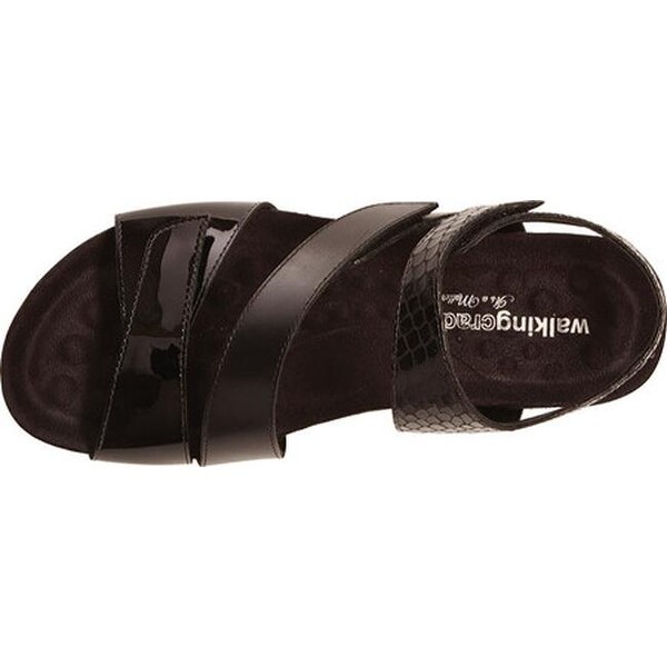 Walking cheap cradles pasha