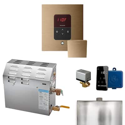 Mr Steam R09C1ABE0000 MS 9 kW (9000 W) Steam Shower Generator Package