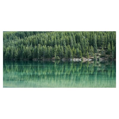 Reflected Forest Canvas Art Print