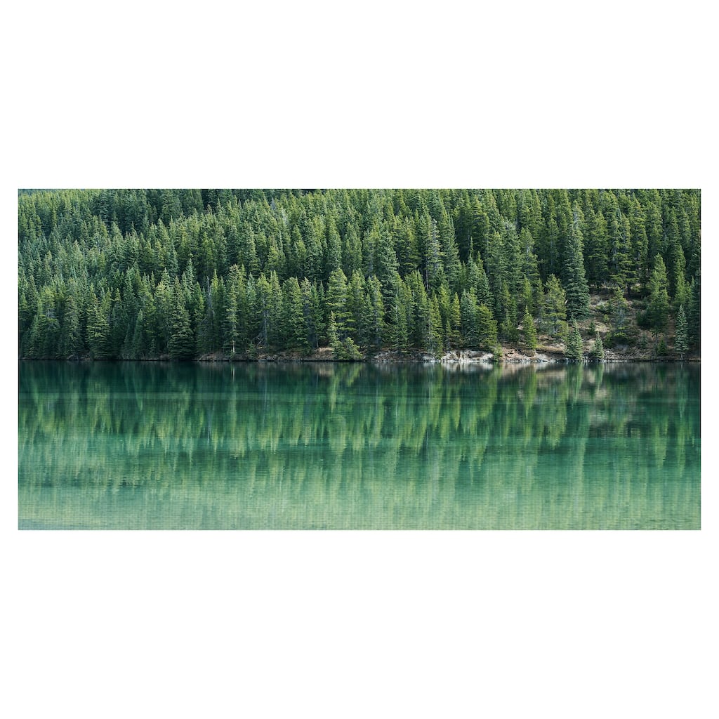 Reflected Forest Canvas Art Print