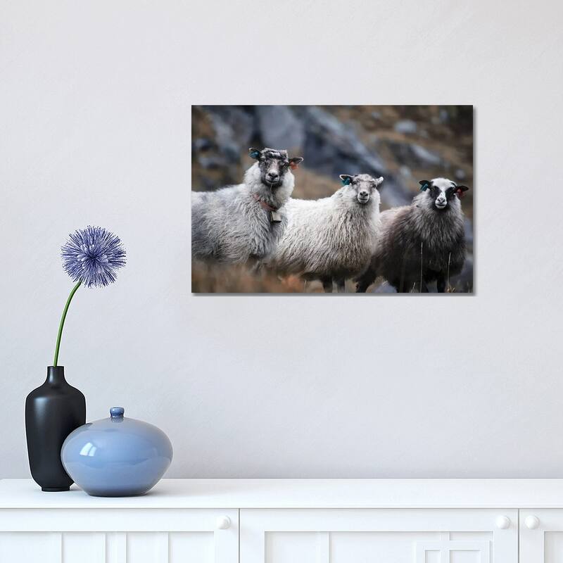 iCanvas "Wool Entourage" by Andreas Stridsberg Canvas Print - 12x18x1.5