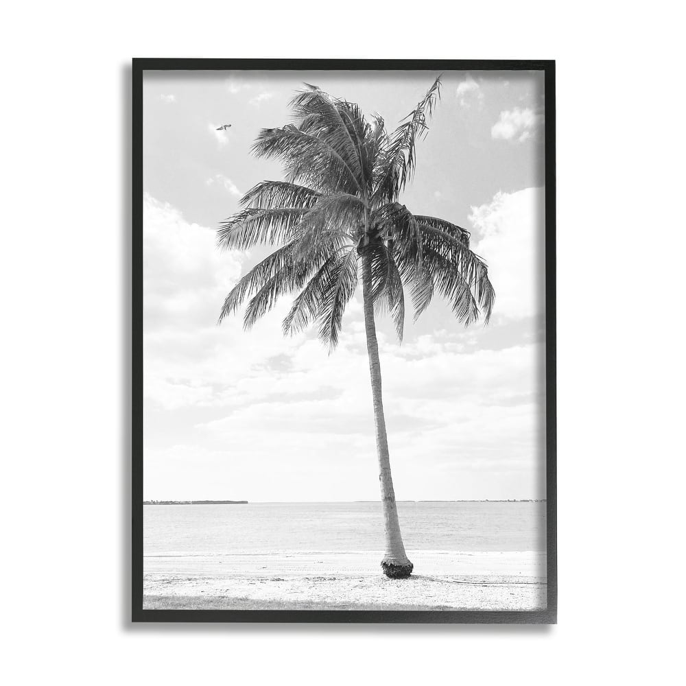 Stupell Single Palm Tree Monochrome Tropical Beach Plant Framed Wall Art, Design by Graffitee Studios - Grey