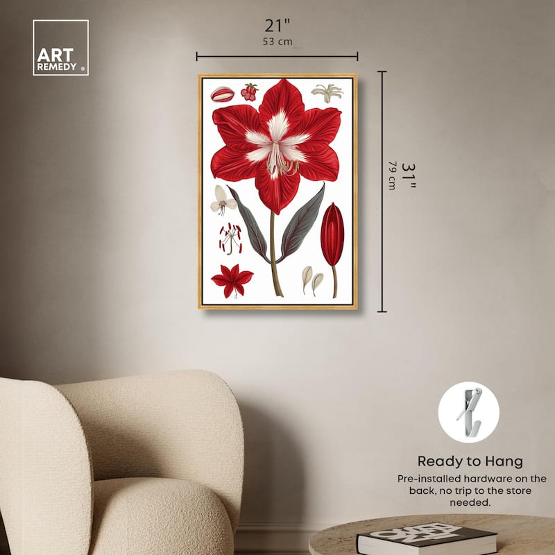 Amaryllis Anatomy Canvas by Art Remedy